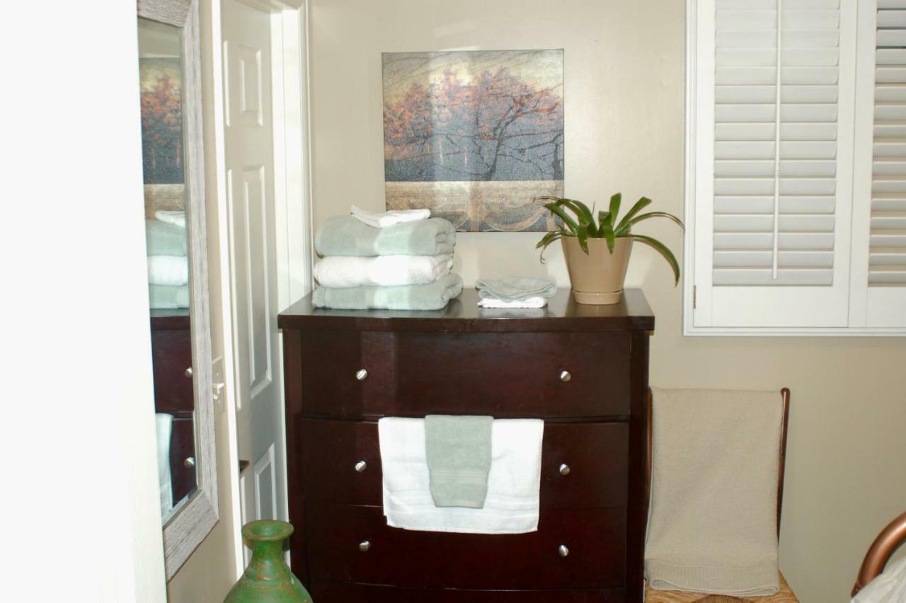 Blue Bear Den 3Br 2Ba Dtc Private Apt Hot Tub Esterno foto