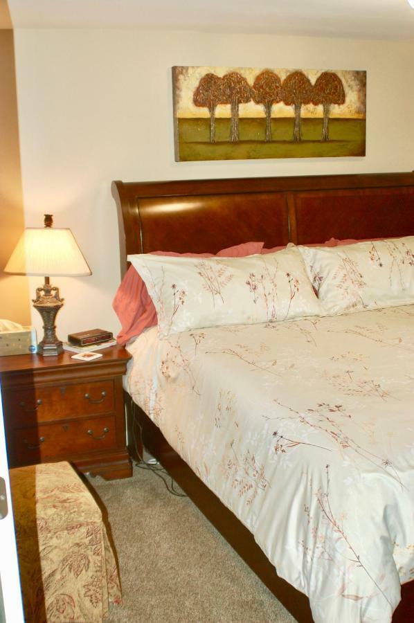 Blue Bear Den 3Br 2Ba Dtc Private Apt Hot Tub Esterno foto